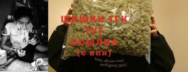 мдпв Вязники