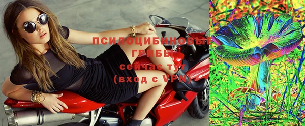 мдпв Вязники